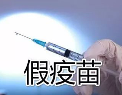 非洲豬瘟有疫苗了？假的！