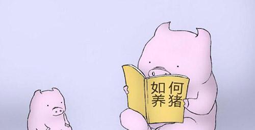 給豬用藥的幾大誤區(qū)！