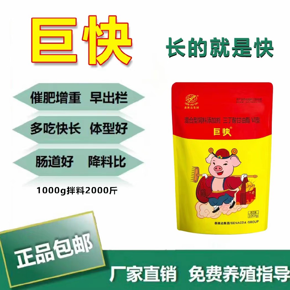 生豬如何高效催肥？
